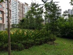 Blk 315C Corporation Tiara (Yishun), HDB 5 Rooms #589824281